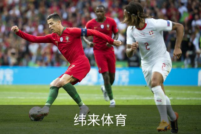 纬来体育公司介绍图